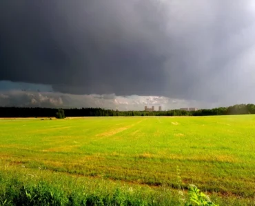 el tiempo en el campo en albacete 2025
