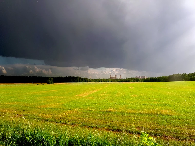 el tiempo en el campo en albacete 2025